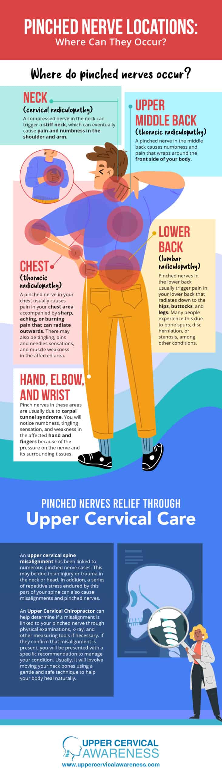 Upper Cervical Chiropractor in Honolulu Lists Pinched Nerve Locations 1 upper cervical chiropractor in Honolulu, pinched nerve relief infographic